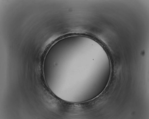 X0000089941315200707061052