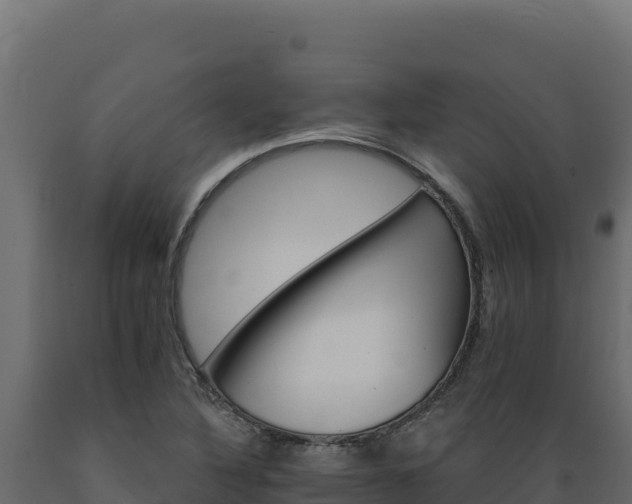 X0000089941316200707061052
