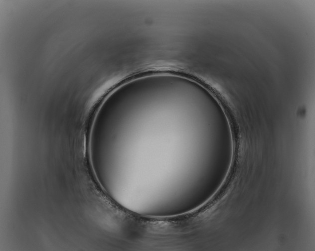 X0000089941317200707061052