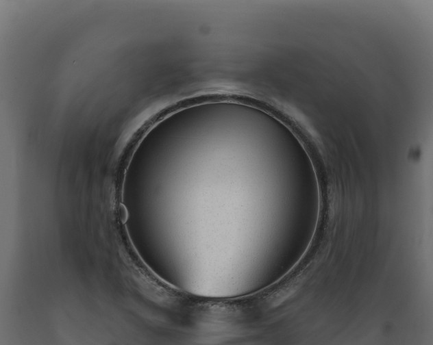 X0000089941318200707061052