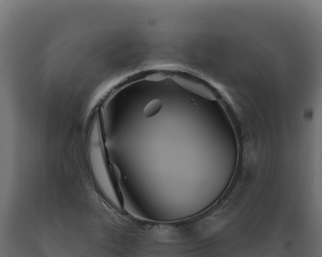 X0000089941319200707061052