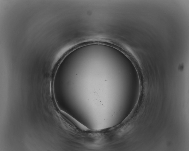 X0000089941320200707061052
