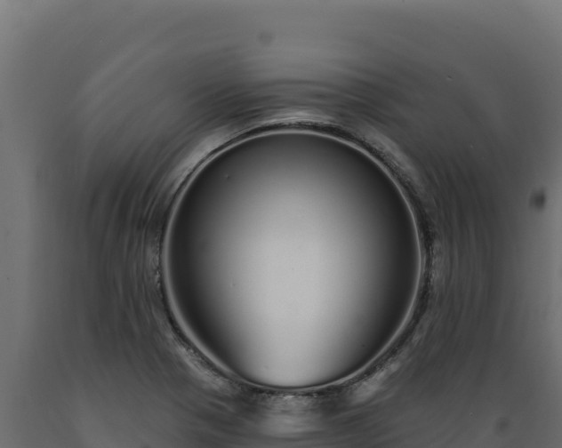 X0000089941321200707061052