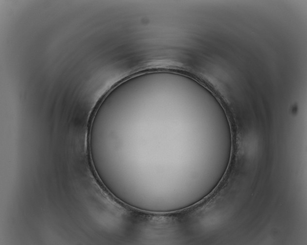 X0000089941322200707061052
