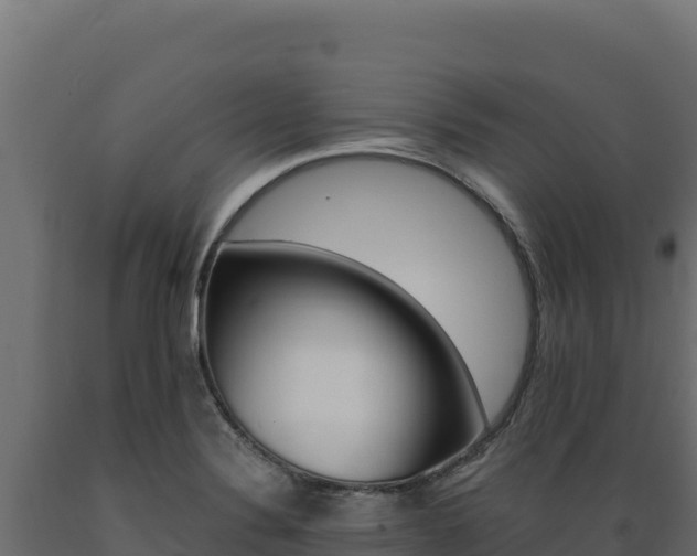 X0000089941324200707061052