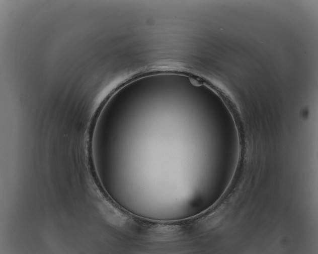 X0000089941325200707061052
