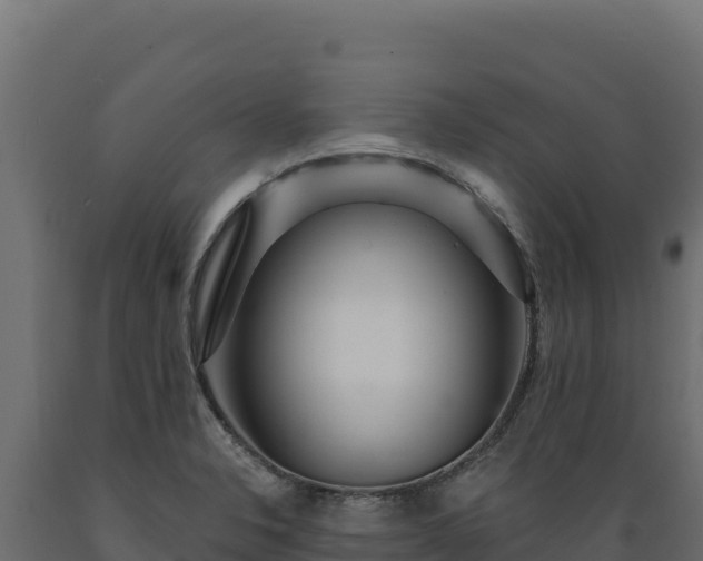 X0000089941326200707061052