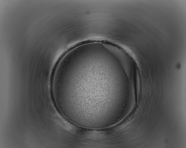 X0000089941327200707061052