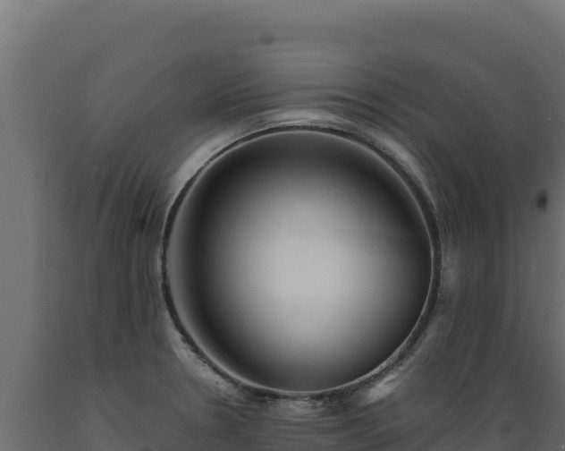 X0000089941330200707061052