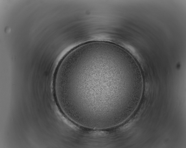 X0000089941331200707061052