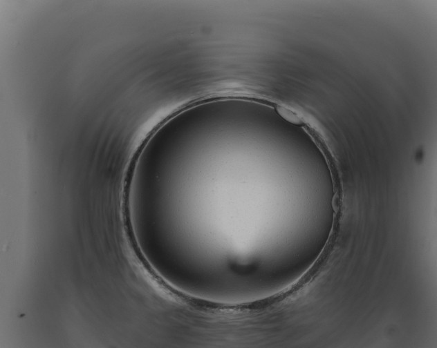X0000089941333200707061052