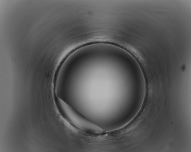 X0000089941334200707061052