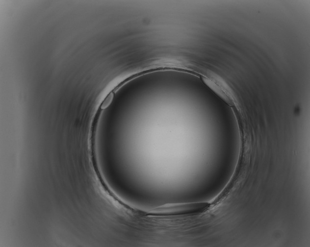 X0000089941339200707061052