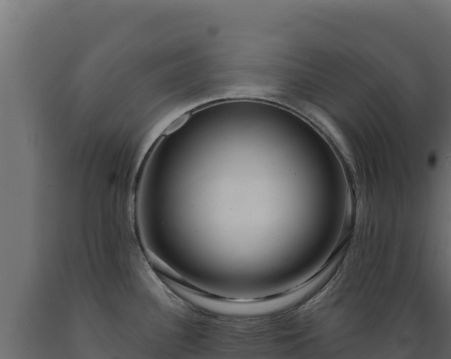 X0000089941340200707061052