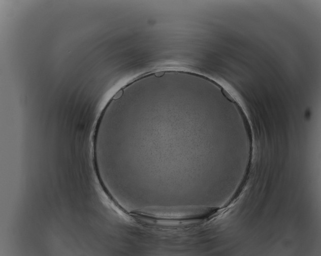 X0000089941341200707061052