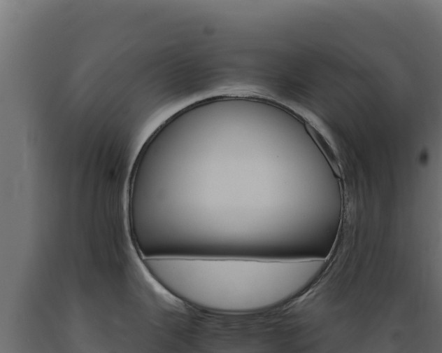 X0000089941343200707061052