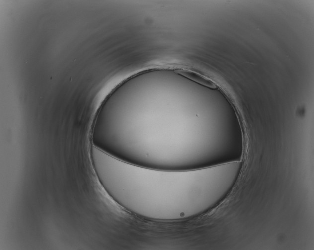 X0000089941344200707061052