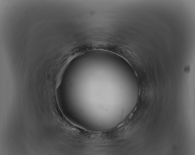 X0000089941345200707061052