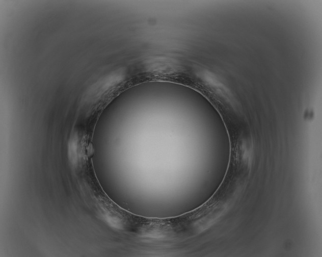X0000089941346200707061052