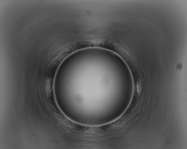 X0000089941347200707061052