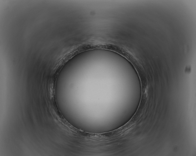 X0000089941348200707061052