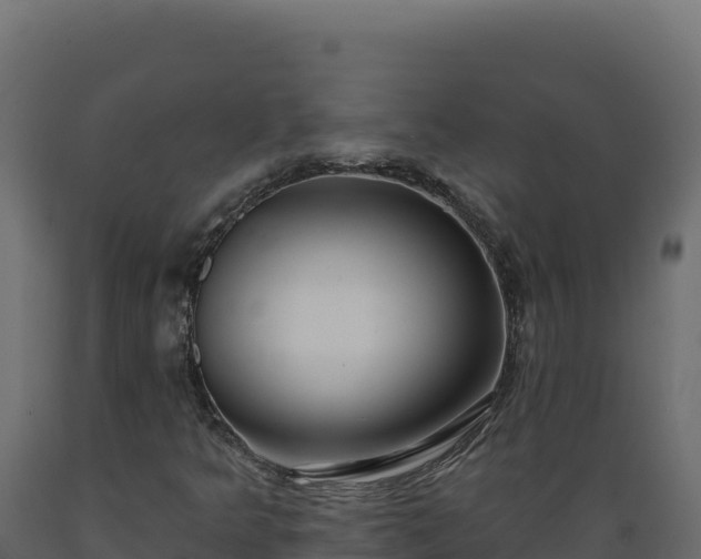 X0000089941349200707061052