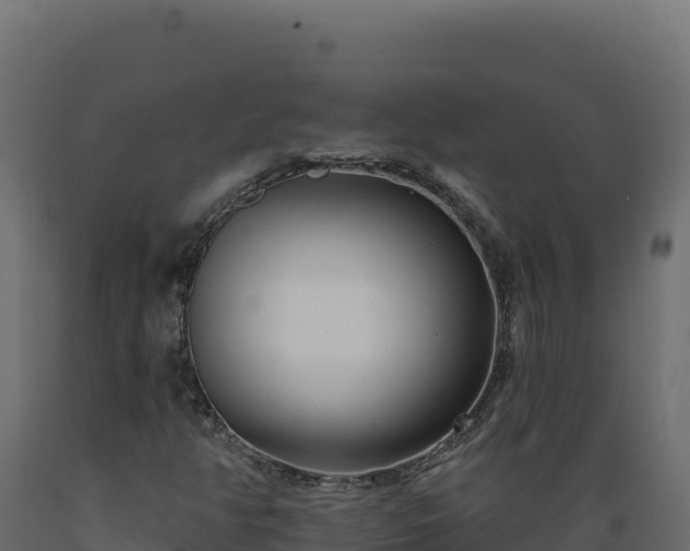 X0000089941350200707061052