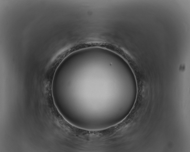 X0000089941351200707061052