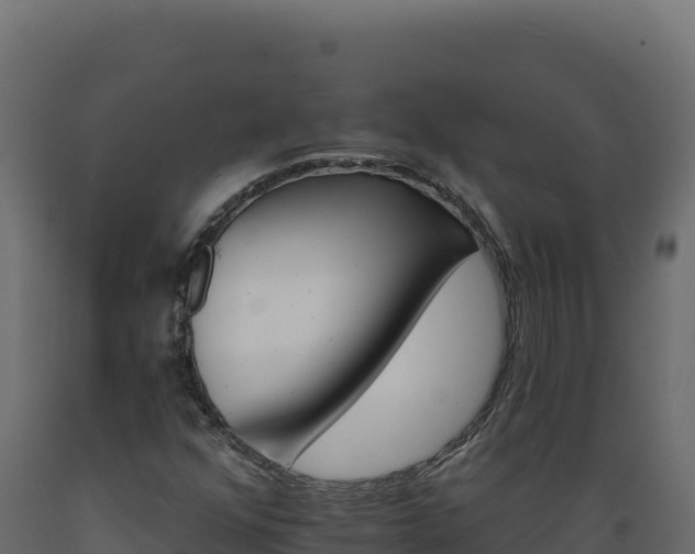 X0000089941352200707061052