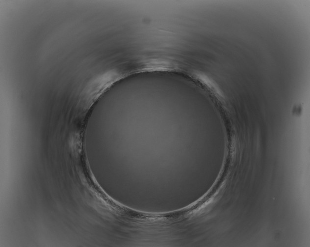 X0000089941353200707061052