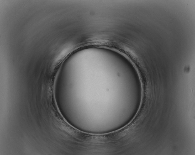 X0000089941354200707061052