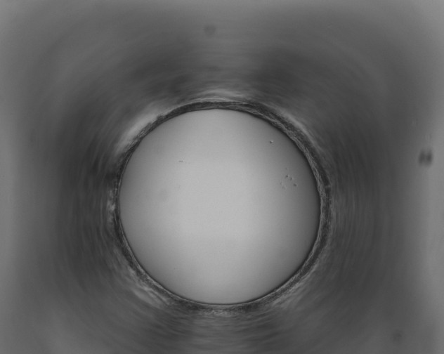 X0000089941355200707061052