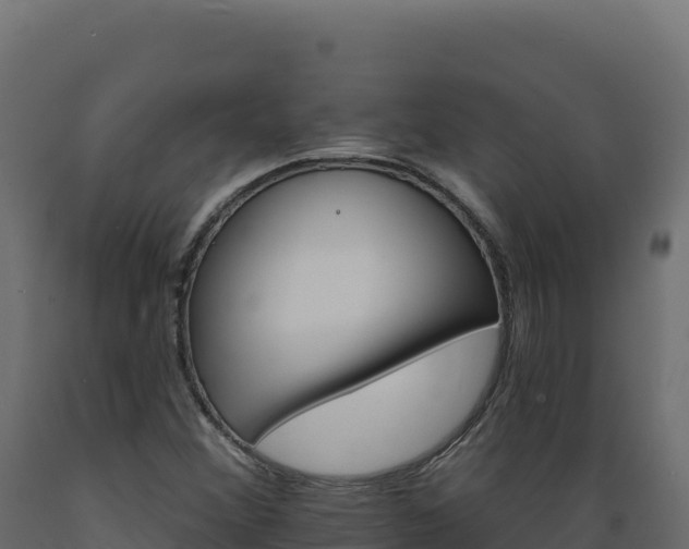 X0000089941356200707061052