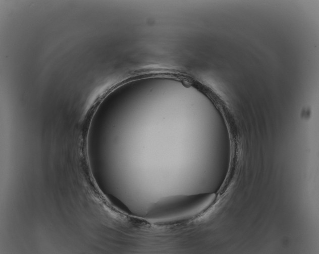 X0000089941357200707061052