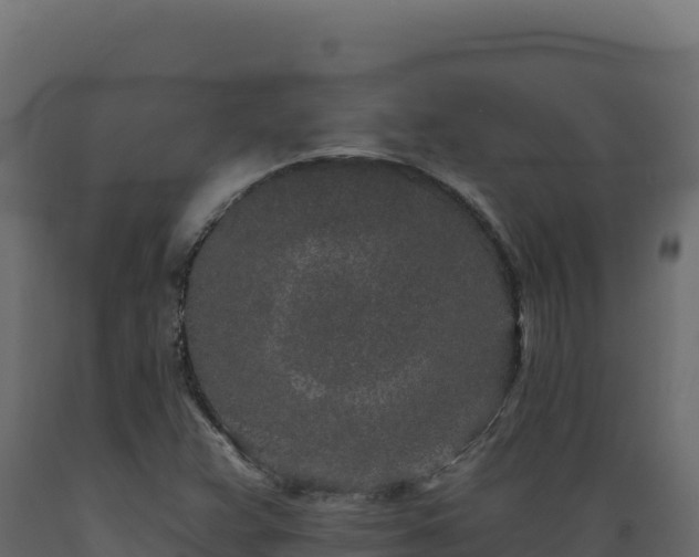 X0000089941359200707061052