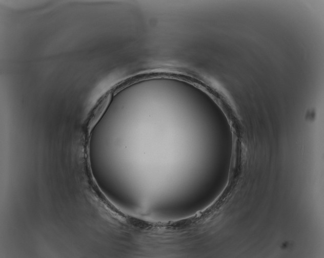 X0000089941360200707061052