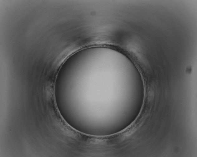 X0000089941361200707061052