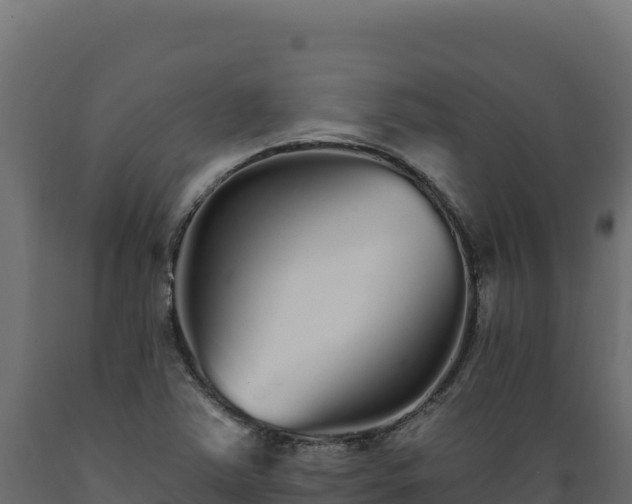 X0000089941363200707061052