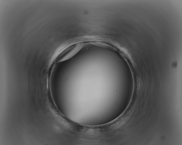 X0000089941365200707061052