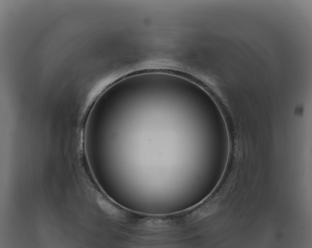 X0000089941366200707061051