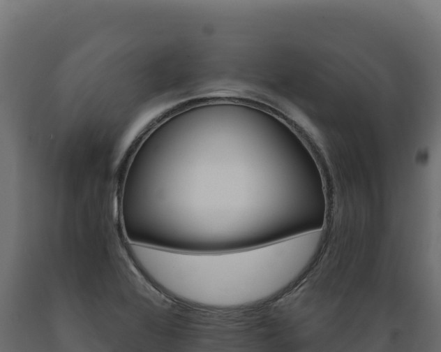 X0000089941368200707061051