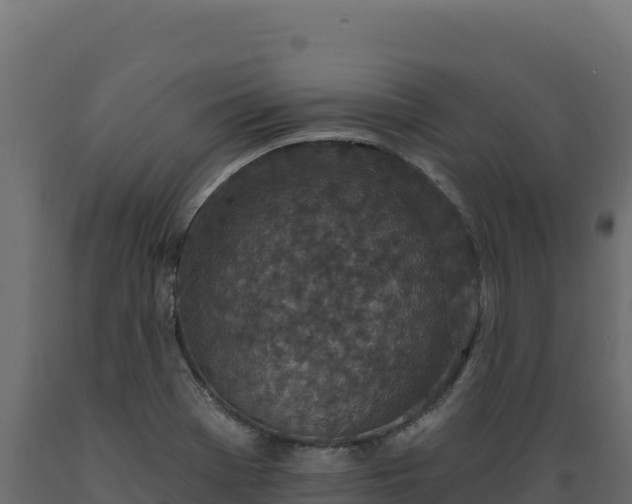 X0000089941369200707061051