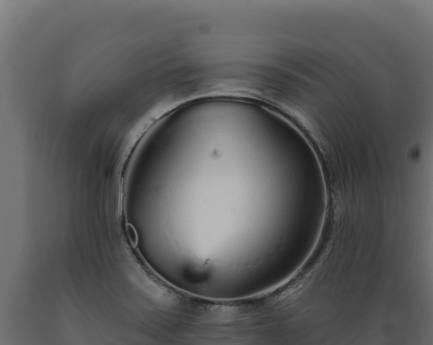 X0000089941371200707061051