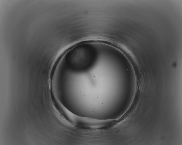 X0000089941372200707061051