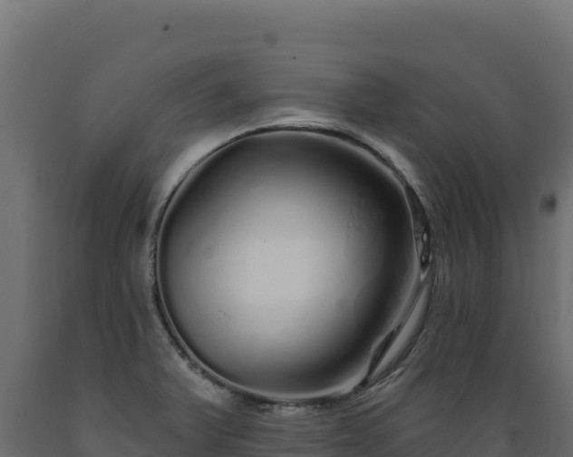 X0000089941375200707061051