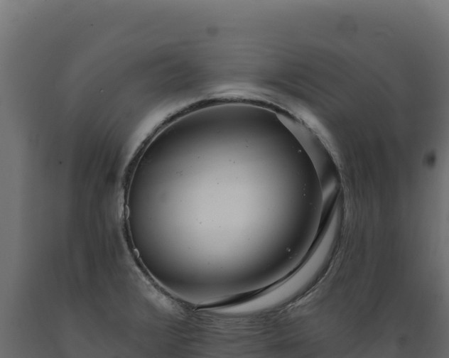 X0000089941376200707061051