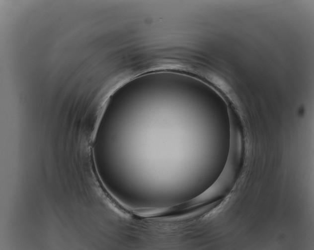 X0000089941377200707061051