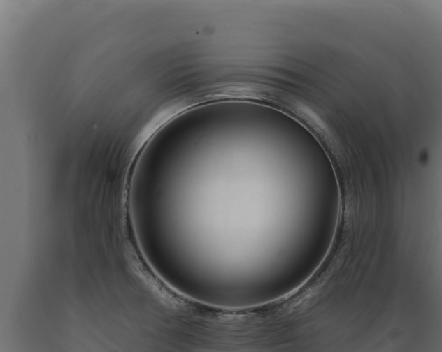 X0000089941378200707061051