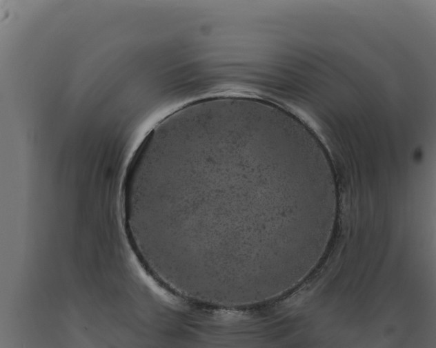 X0000089941379200707061051