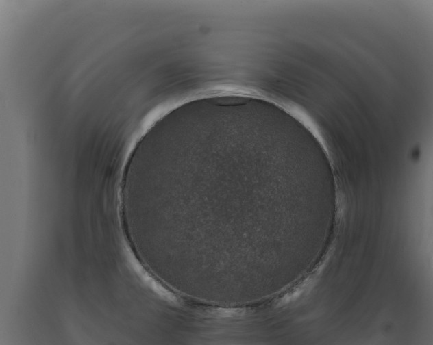 X0000089941381200707061051